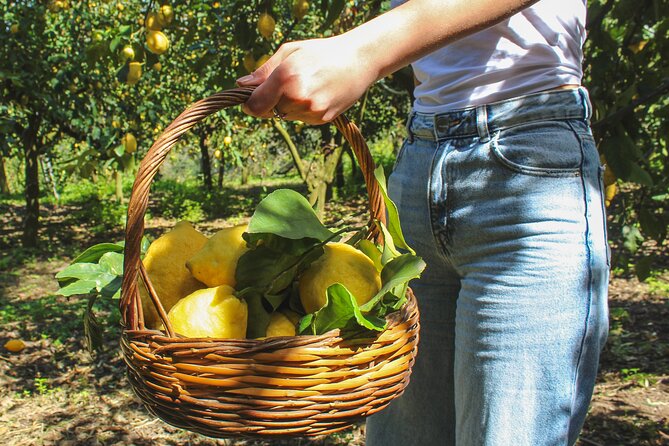 Fresh pasta and Limoncello course in a lemon grove - Quick Highlights