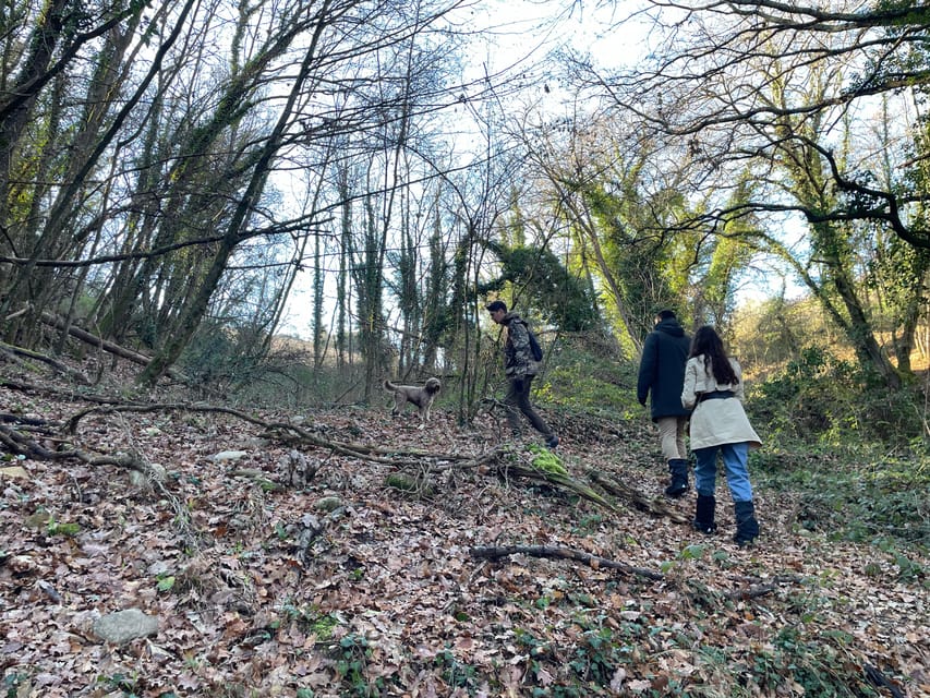 Truffle hunting in Chianti with pasta cooking class & lunch - Chianti Classico truffle hunting on the farm’s own property