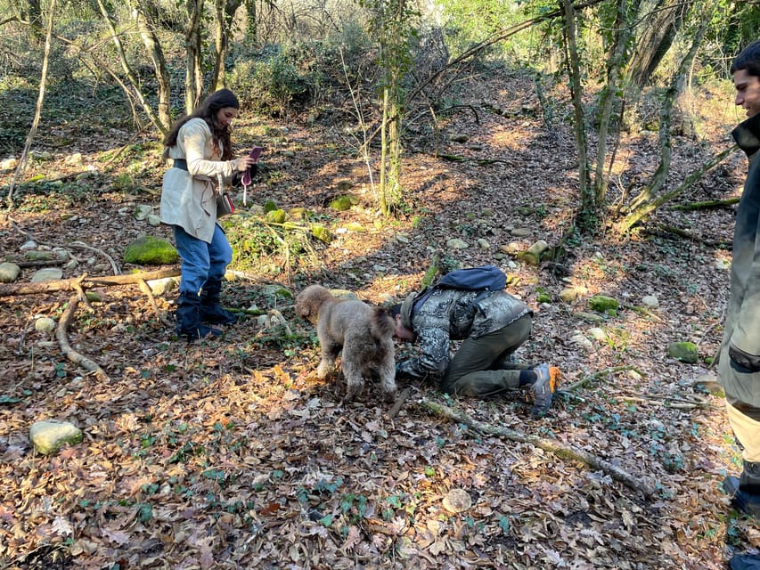 Truffle hunting in Chianti with pasta cooking class & lunch - The 4-hour flow: timing, the 1-hour hike, and what to wear