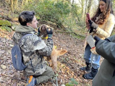 Truffle hunting in Chianti with pasta cooking class & lunch - Meet the truffle hunter and his Lagotto Romagnolo